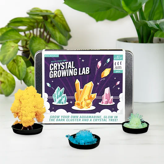 DIY Crystal Growing Kit for Kids