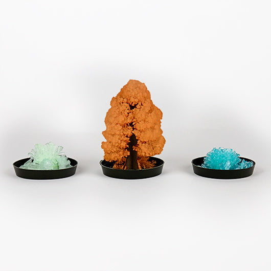 DIY Crystal Growing Kit for Kids