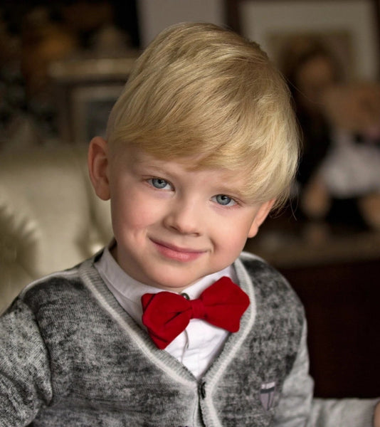 Burgundy Velvet Bow Tie