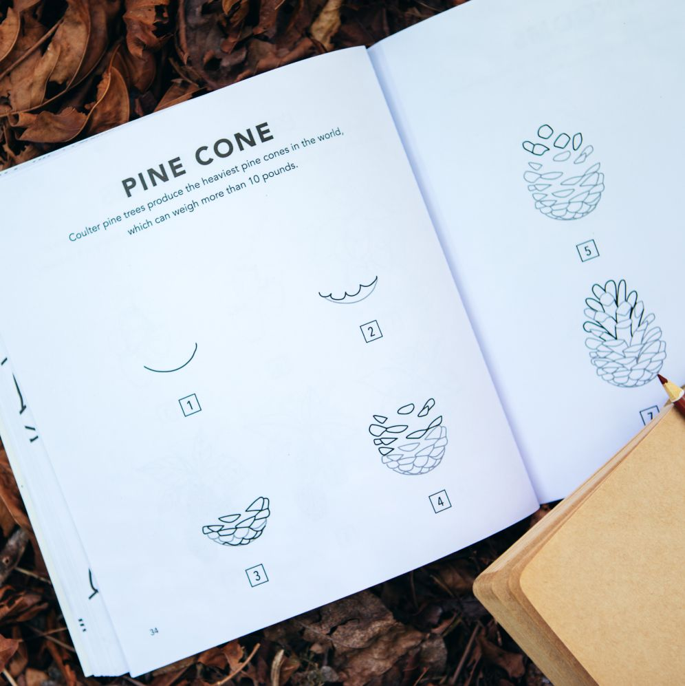 How to Draw for Kids: Fall Things
