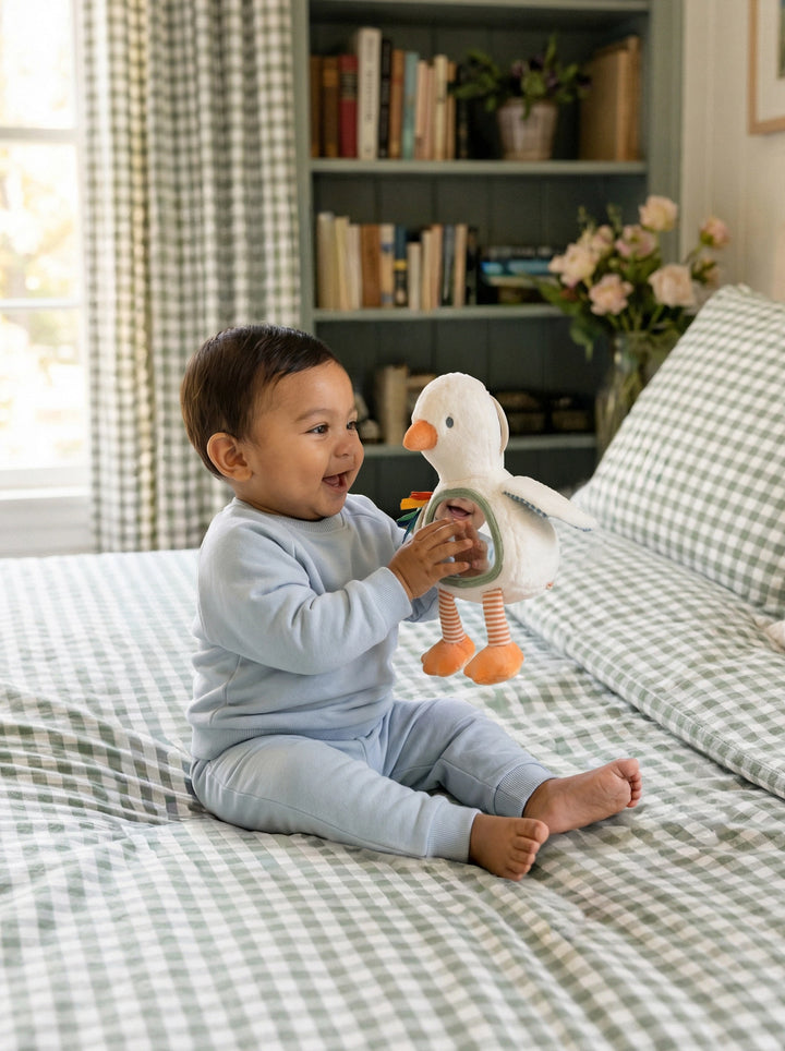 Itzy Bitzy Tummy Time Mirror - Goose