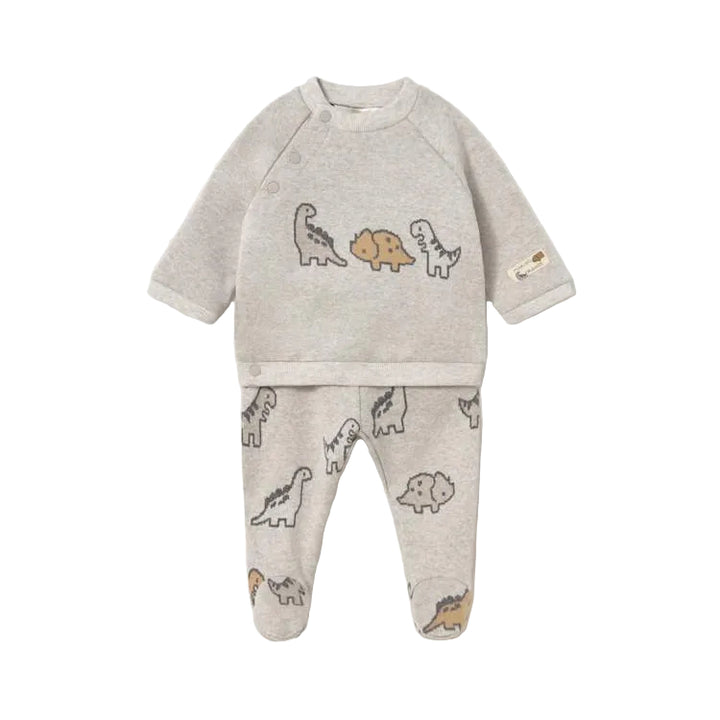 Dinos Sweatshirt & Pant Set