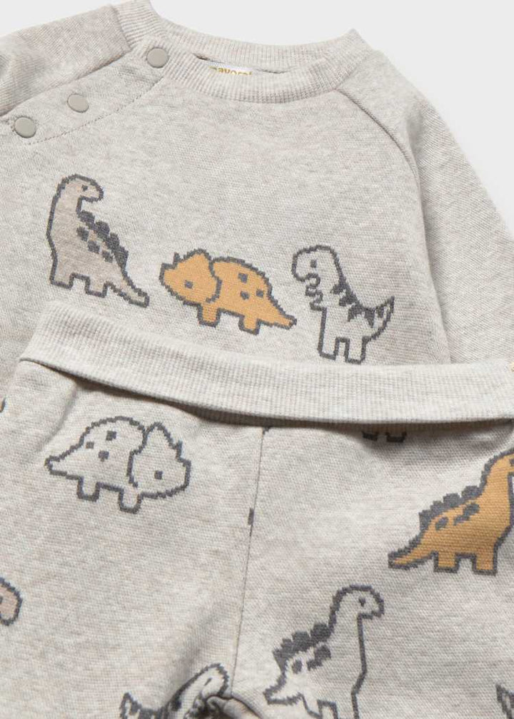 Dinos Sweatshirt & Pant Set