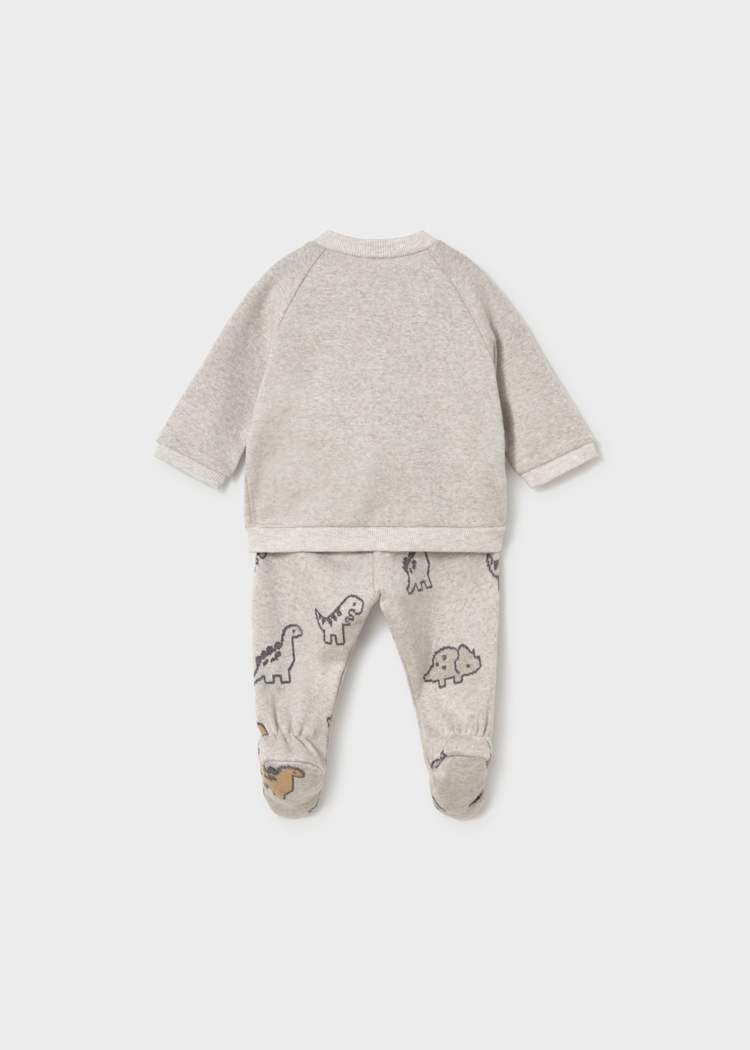 Dinos Sweatshirt & Pant Set