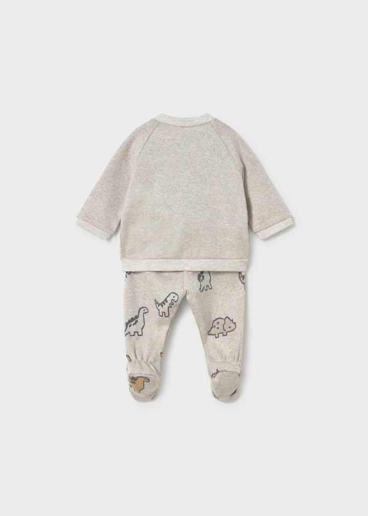 Dinos Sweatshirt & Pant Set