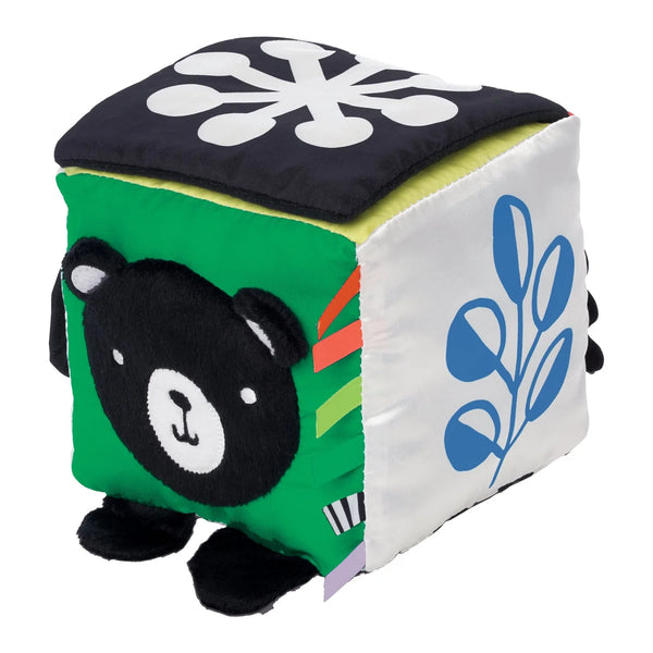 Wimmer Discovery Cube