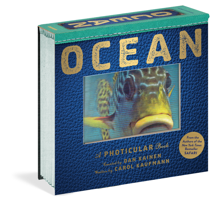 Ocean: A Photicular Book