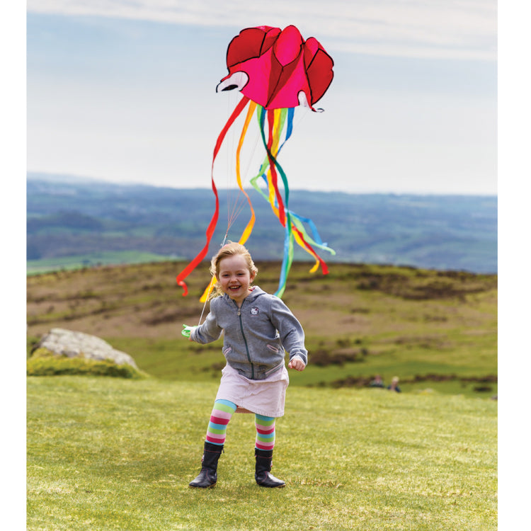 Octopus Kite