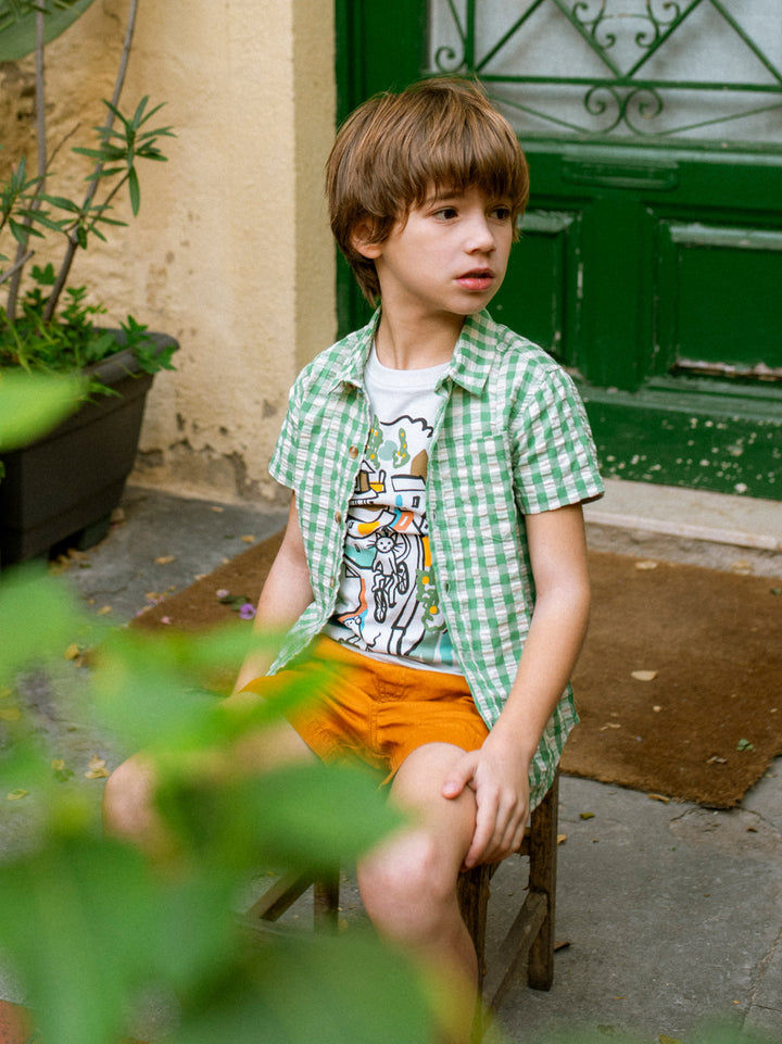 Garden Party Check Button Up Woven Shirt