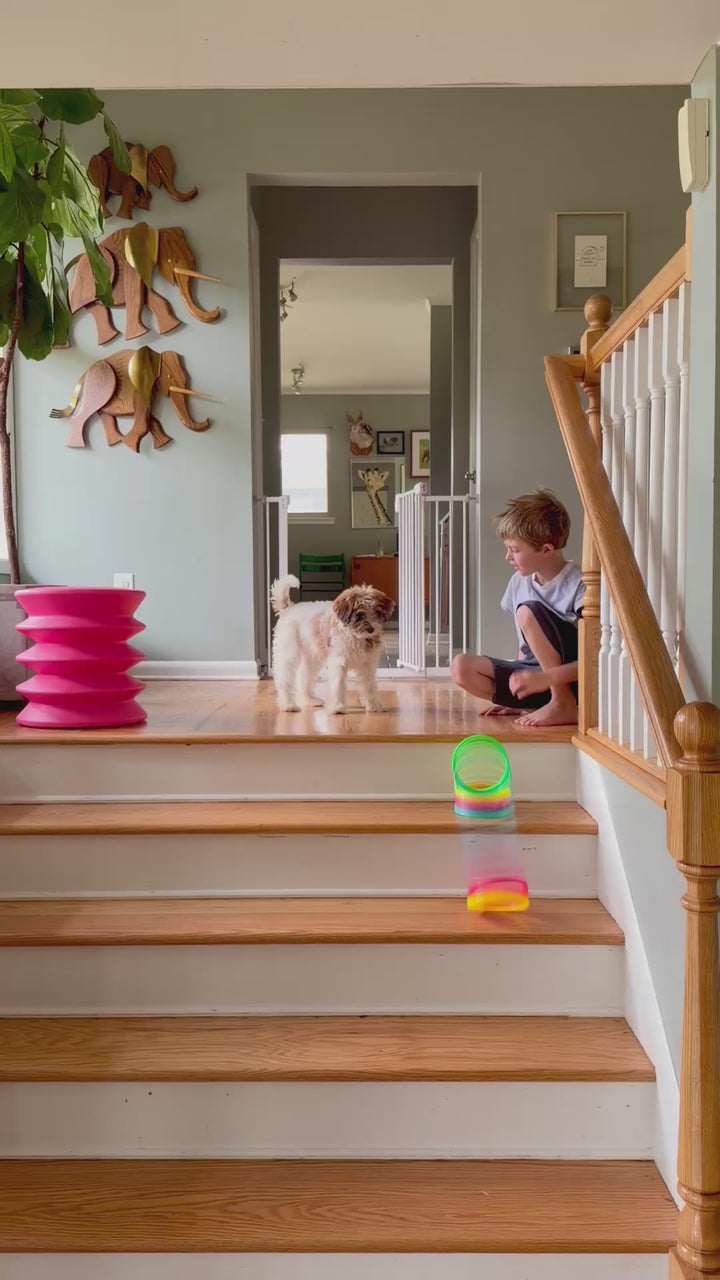 Jumbo Rainbow Sproing Slinky