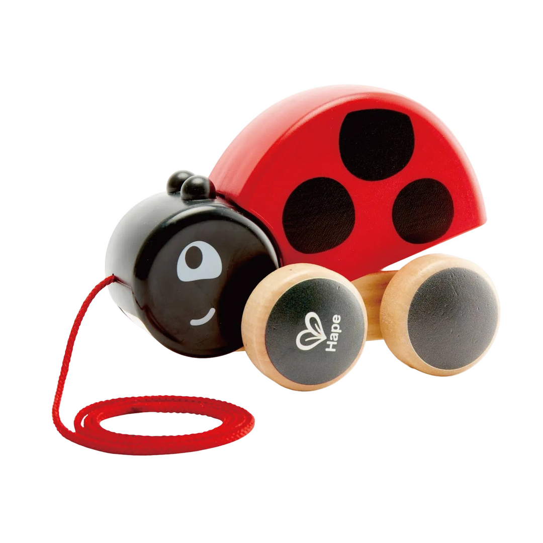 Pull Along Ladybug