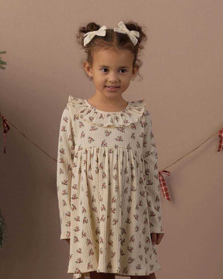 Ruffle Collar Dress - Ruby Bloom