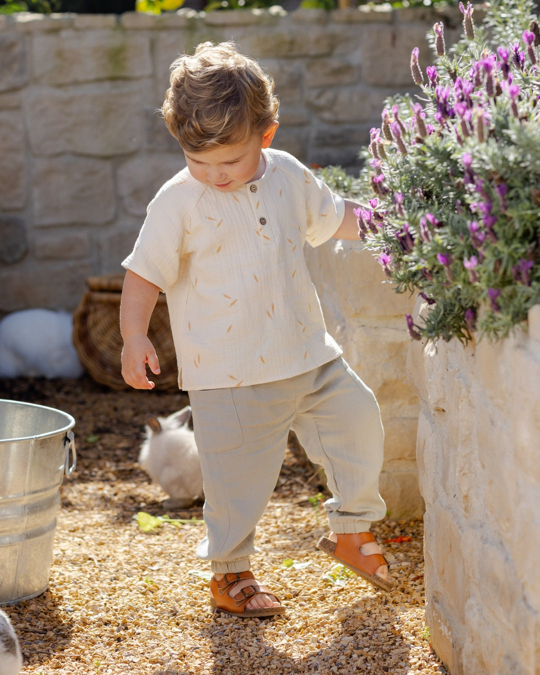 Sage Luca Pant