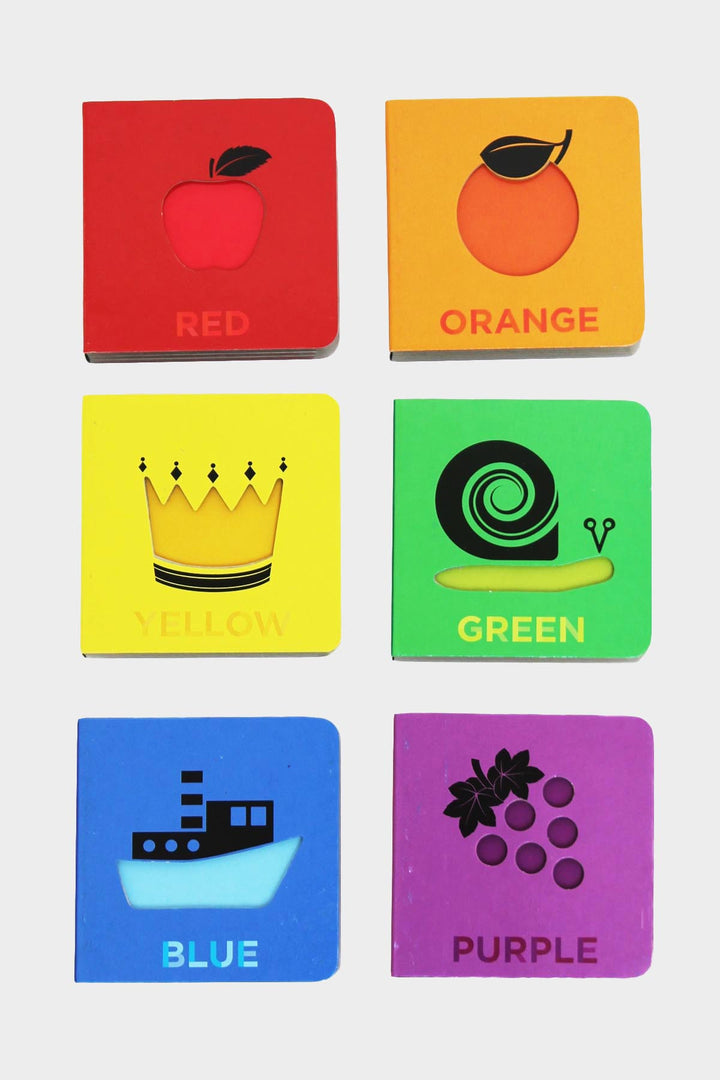 Pantone Box of Color Books Set