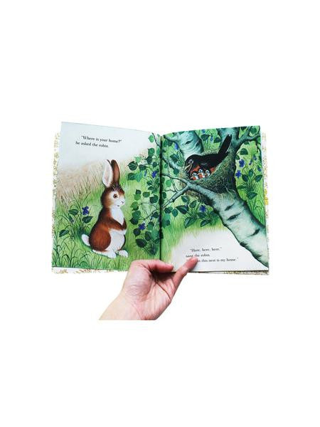 A Home for a Bunny LGB