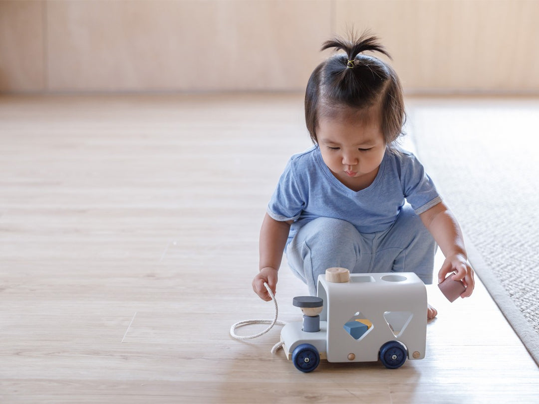 Sorting Bus (Orchard)