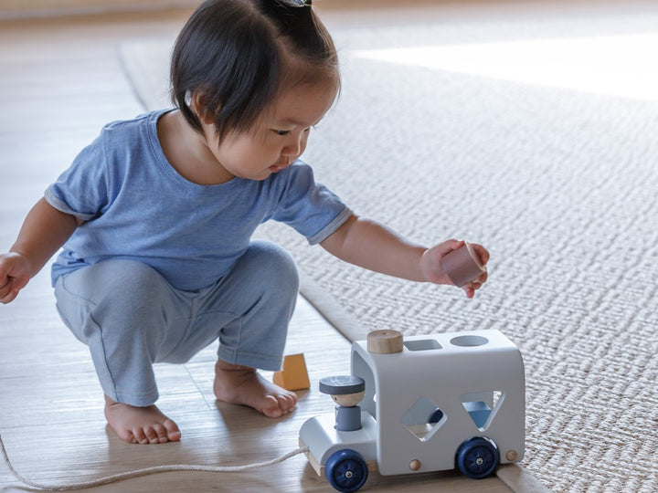 Sorting Bus (Orchard)