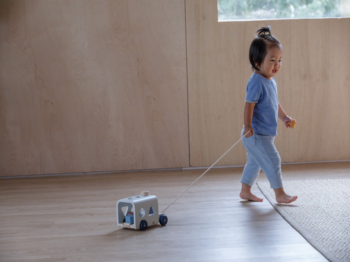 Sorting Bus (Orchard)