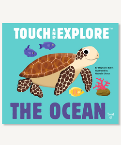 Touch and Explore: The Ocean