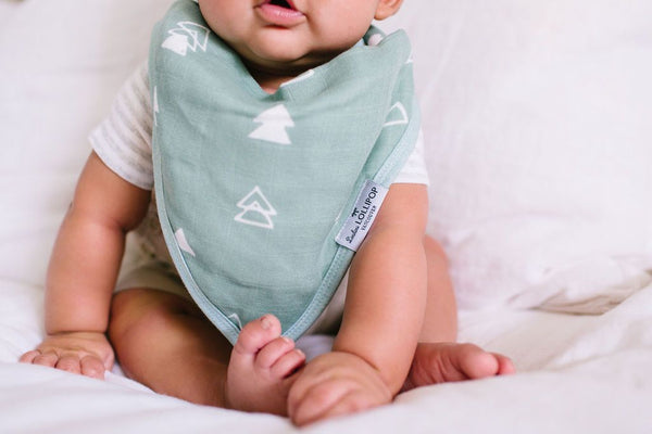 Muslin Bandana Bib Set - forest friends