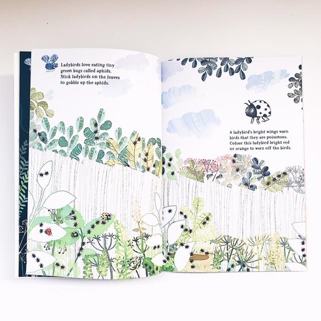 The Big Sticker Book of Bugs