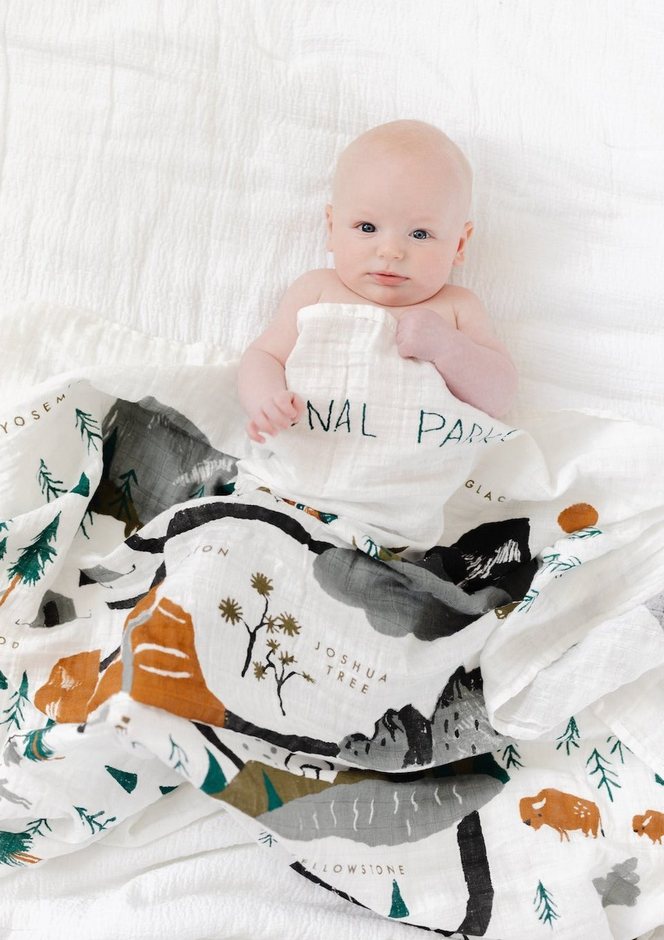 National Parks Swaddle Blanket