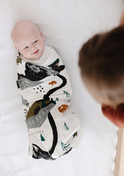 National Parks Swaddle Blanket