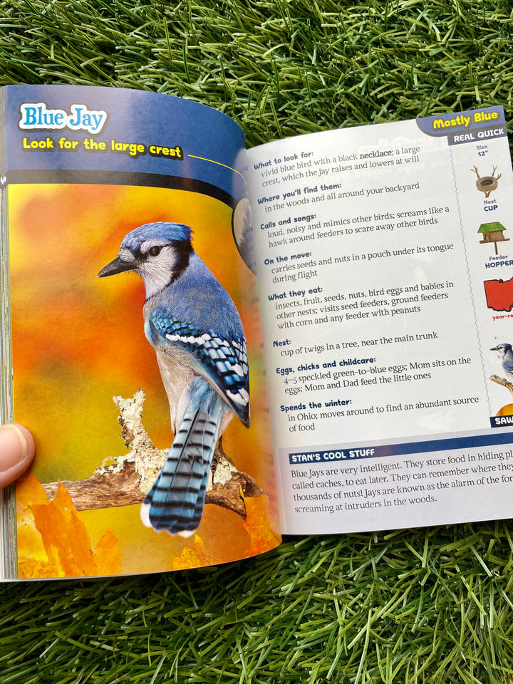The Kid's Guide to Birds of Ohio