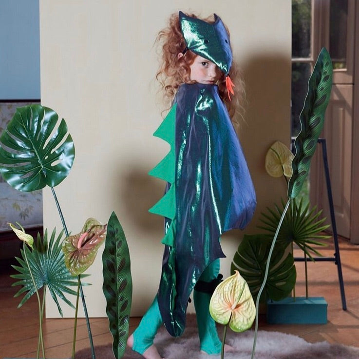 Dragon Cape Dress Up Kit