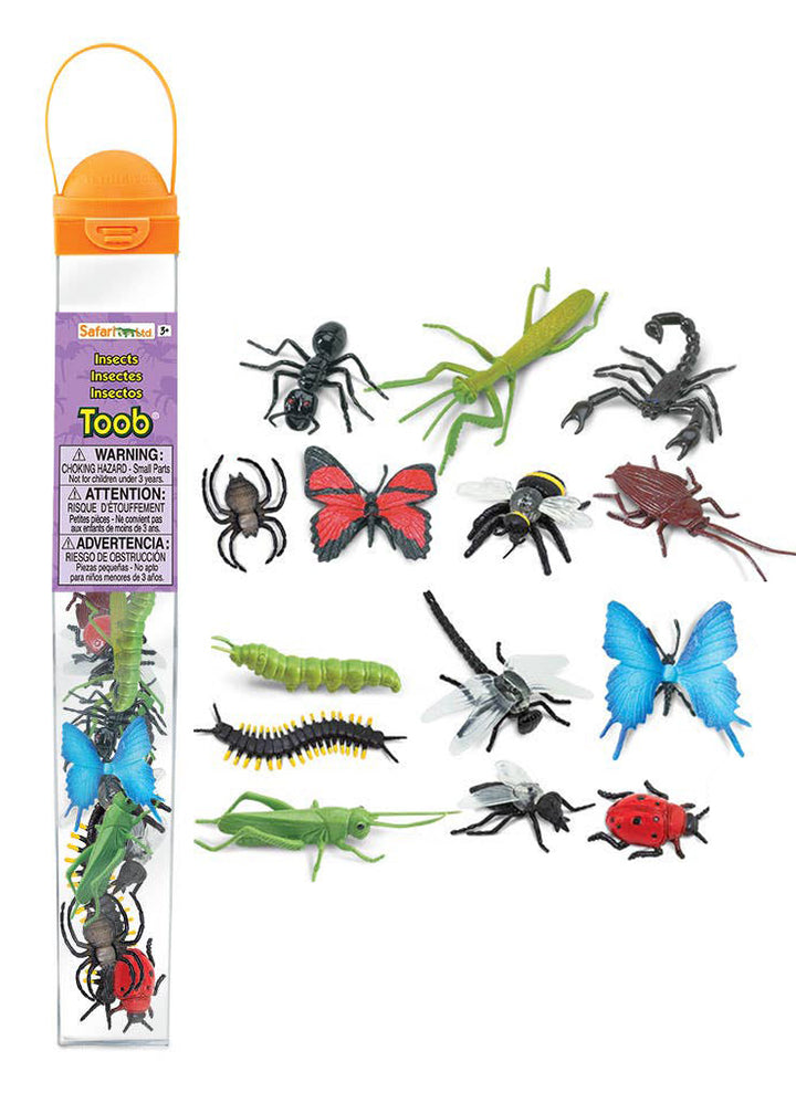 Insects TOOB