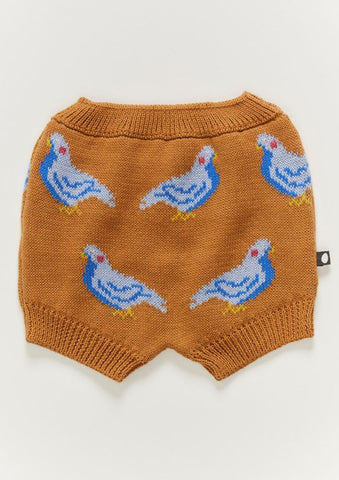 Biscuit Pigeon Knit Shorts