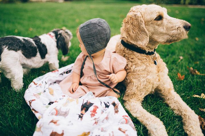Woof Muslin Swaddle Blanket